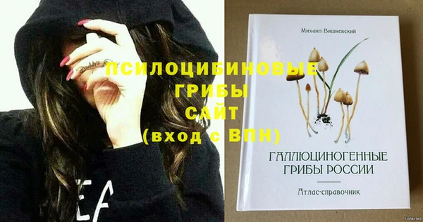 MDMA Premium VHQ Алзамай