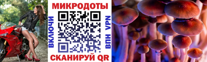 Галлюциногенные грибы GOLDEN TEACHER  как найти наркотики  Кашира 