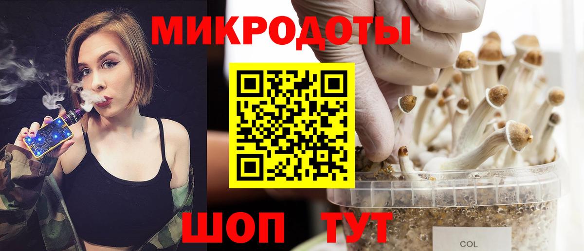 Кашира  Псилоцибиновые грибы ЛСД  Галлюциногенные грибы Cubensis  цена   Вход с VPN 